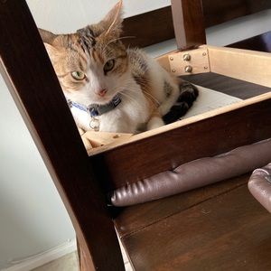 Meet your Posher, Grace